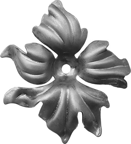 Zierblumen blüten rosette - zierblumen,