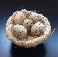 ? Zauberhafte Osterdeko – Nest mit Wachteleiern