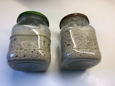 Bio Anstellgut-Starter zur Herstellung von Sauerteig aus Weizen o. Roggen/ je 3€