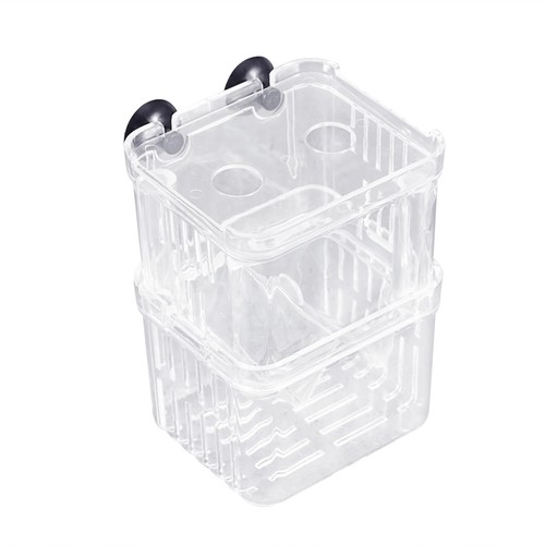 Aufzuchtbox aquarium - aufzuchtbox,