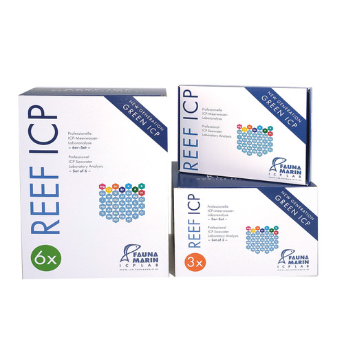 Fauna marin reef icp - reef,