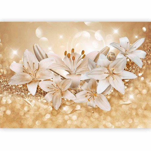 Blumen glanz bokeh - bokeh, lilien
