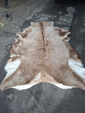 Großes Fell Rotwild Rothirsch