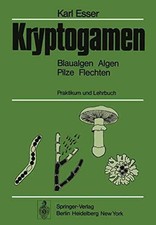 Kryptogamen - Blaualgen