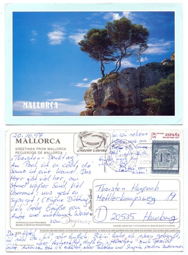 132466 mallorca bäume auf - mallorca,