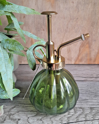 Pflanzen sprühflasche glas - pflanzen,