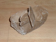 Mexikanische sandrose - mexikanische,