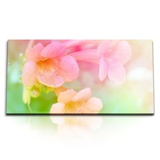 120x80cm kunstdruck bilder - 120x80cm,