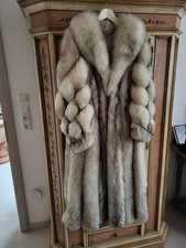 Wunderschöner Polarfuchs