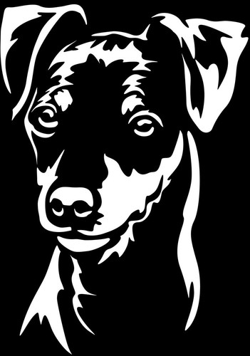 Zwergpinscher aufkleber - aufkleber,