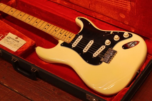 Fender stratocaster hardtail - stratocaster,