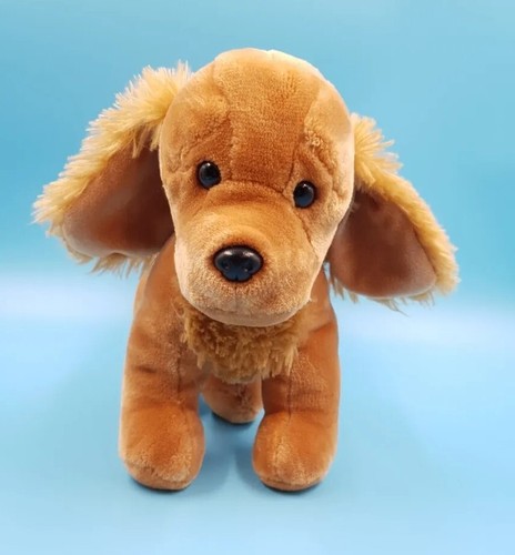 Hund stehend braun sunkid - stehend,