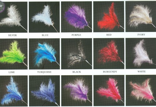 Federstiel sprays fascinater - sprays,