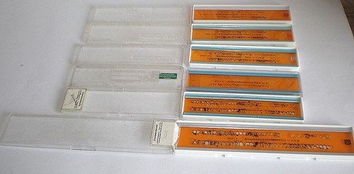 Standardgraph zeichenbedarf - standardgraph,