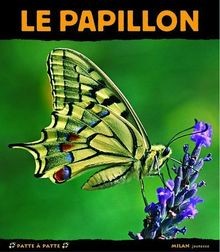 Papillon von tracqui - le,