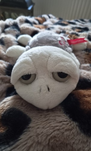 Russ berrie schildkröte - berrie,