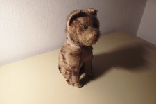 alter sitzender Hund, Mit