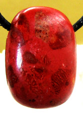 SCHAUMKORALLE  ROT behandelt