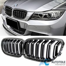 Grill Kühlergrill Nieren