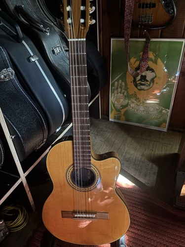 Gibson chet atkins - gibson, nylonstring