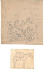 Der Zirkus kommt. REINHOLD