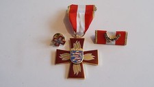 Orden Feuerwehr Hessen Brandschutz Ehrenzeichen golden + Pin +Spange (p785)