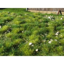 Grasmatte & Steine 18x28cm