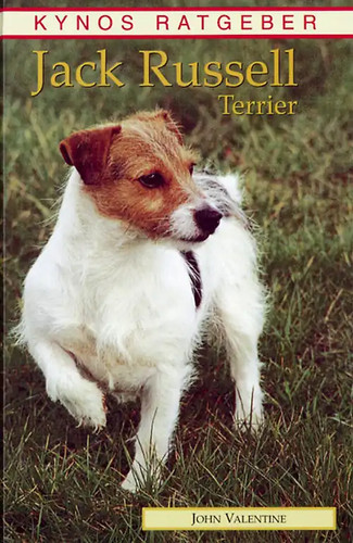 Jack russell terrier - russell,