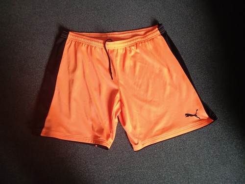 Puma drycell sportshorts - puma, drycell,