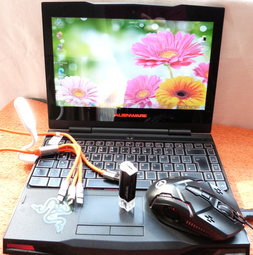 Alienware m11x zoll - m11x,