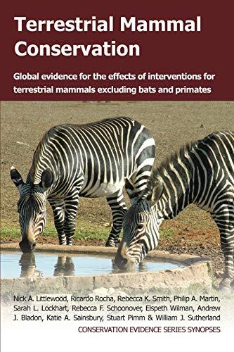 Terrestrial mammal - terrestrial,