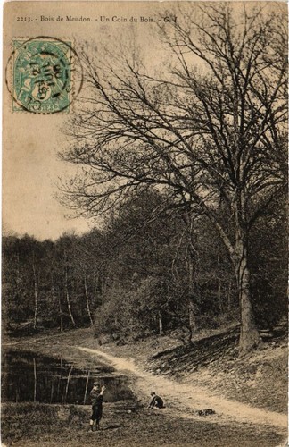 Meudon corner du - du, bois
