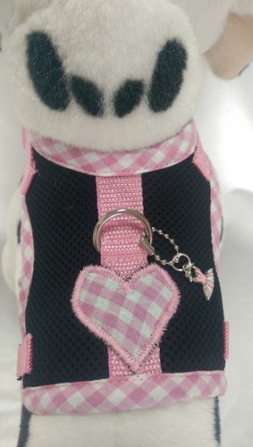 Hundegeschirr chihuahua - xs,