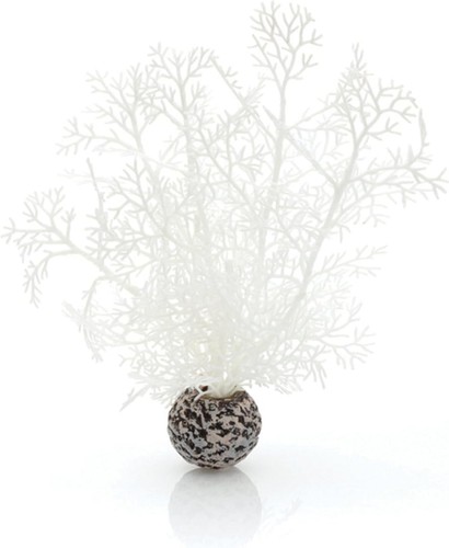 Biorb 46068 hornkoralle - biorb, s