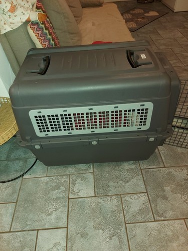 Hunde transportbox absolut - hunde,