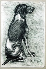 Deutscher Kurzhaar Jagdhund