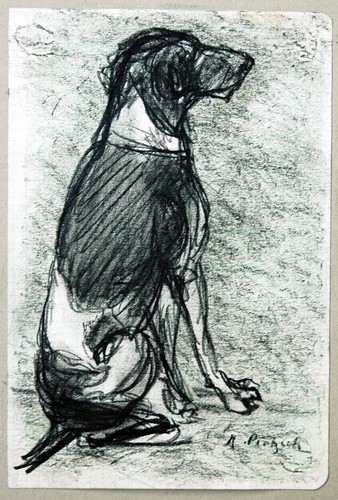 Deutscher kurzhaar jagdhund - kurzhaar,