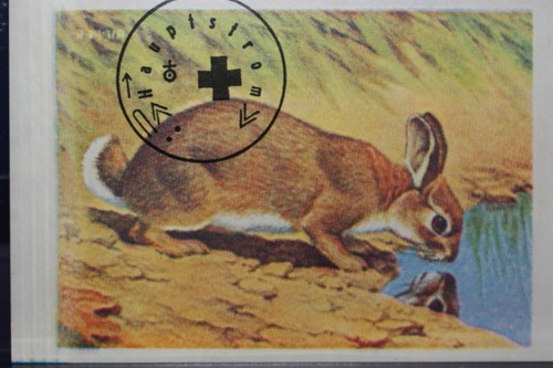 Joseph beuys hasenzucker - beuys:", us-hasenzucker"