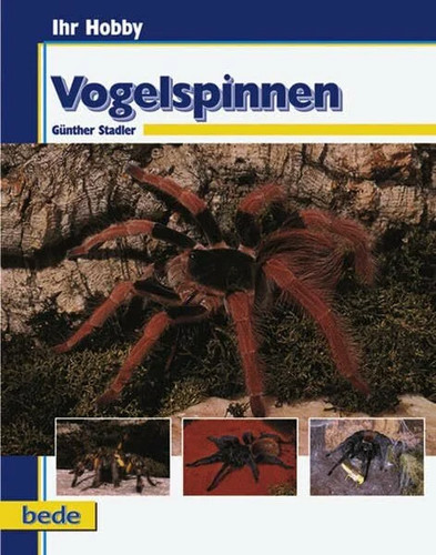 Vogelspinnen ihr hobby - vogelspinnen,, buch