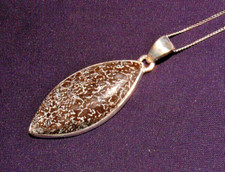 Anhänger Versteinerter