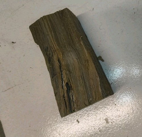 Mooreiche moorholz 2000 - moorholz, ca.