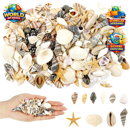 Muscheln zum basteln - muscheln,