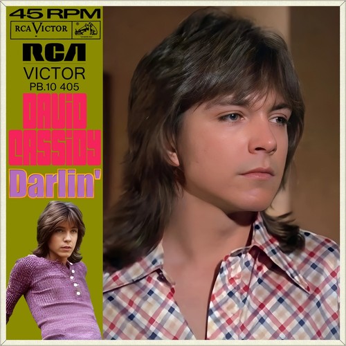 David cassidy darlin - cassidy, darlin'