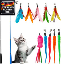 Katzen-Spielset mit Angel