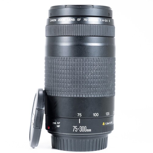 Canon 300mm 5 - f/4.0-5.6, ii
