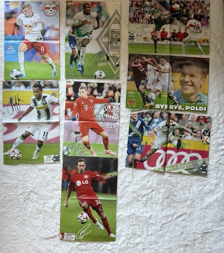 Bravo sport poster - 8x,