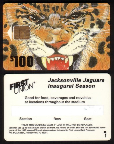 Jacksonville jaguars - jacksonville,