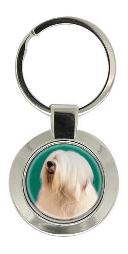 Old english sheepdog - old,