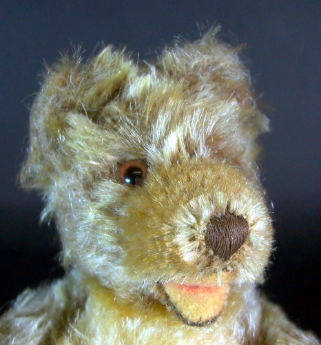 Alter steiff teddy - alter,