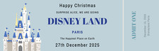 Disneyland Paris Surprise